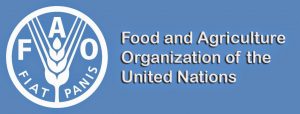 Read more about the article Analyse du Rapport FAO par Jean-Paul GUYOMARC’H