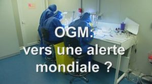 Read more about the article OGM : vers une alerte mondiale ?