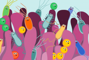 Read more about the article Une nouvelle étude fait un lien entre la pollution et les altérations du microbiome intestinal