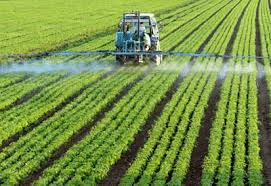 You are currently viewing Des pesticides majeurs sont plus toxiques sur des cellules humaines que leurs principes actifs déclarés